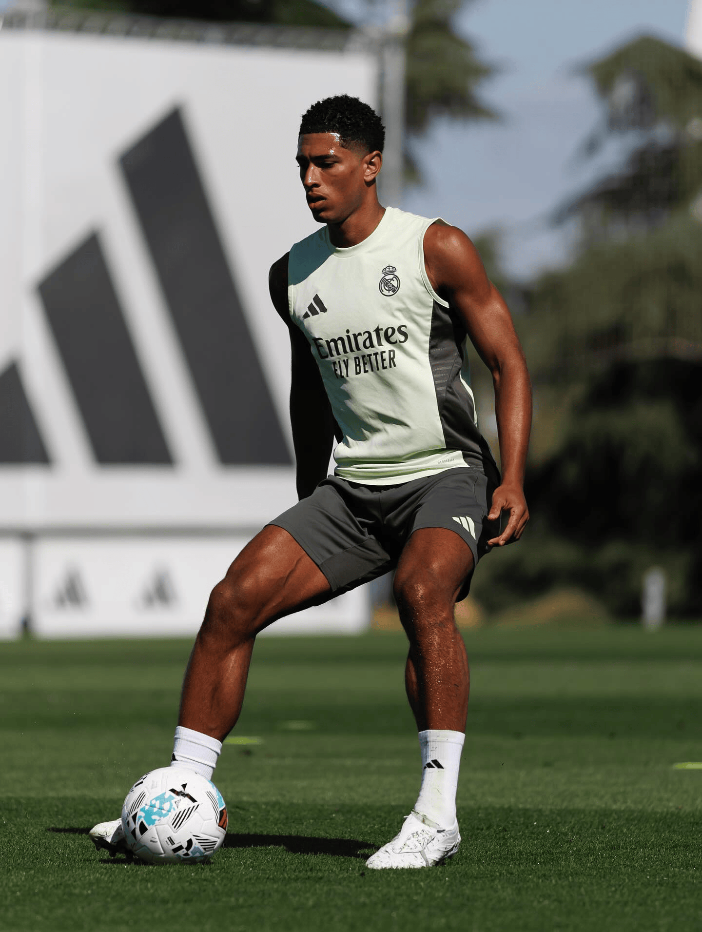 站在一起, entit, 站在一起